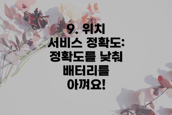 9. 위치 서비스 정확도: 정확도를 낮춰 배터리를 아껴요!