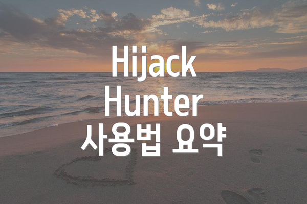 Hijack Hunter 사용법 요약