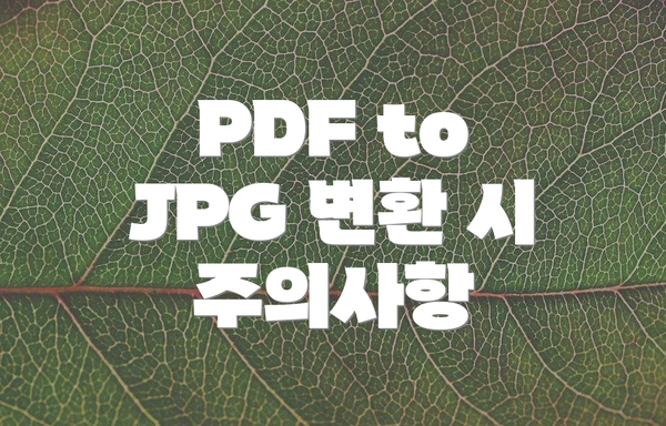 PDF to JPG 변환 시 주의사항